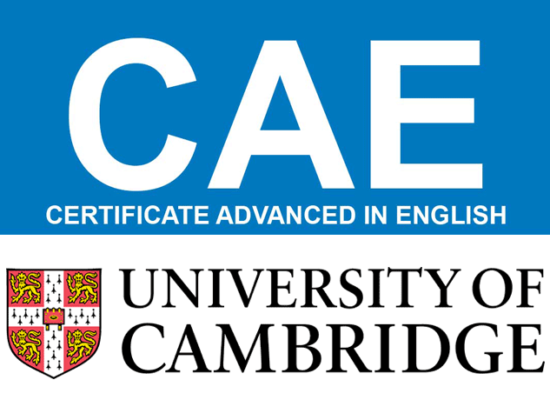 Domina el inglés con el Cambridge English CAE / C1 en Dublin School of English/CEIN